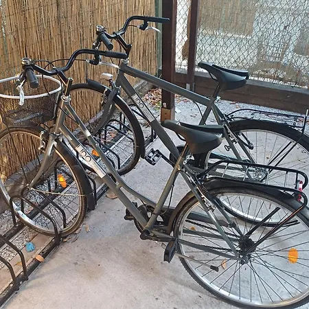 Rigel 3* Lido di Venezia