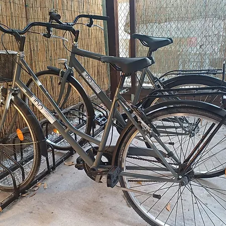 Rigel Hotel Lido di Venezia