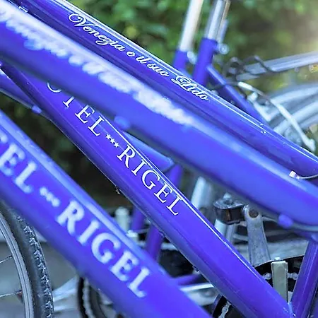 Rigel 3*
